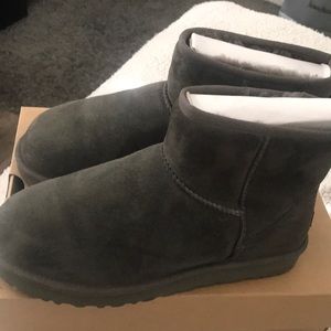 Classic mini grey uggs